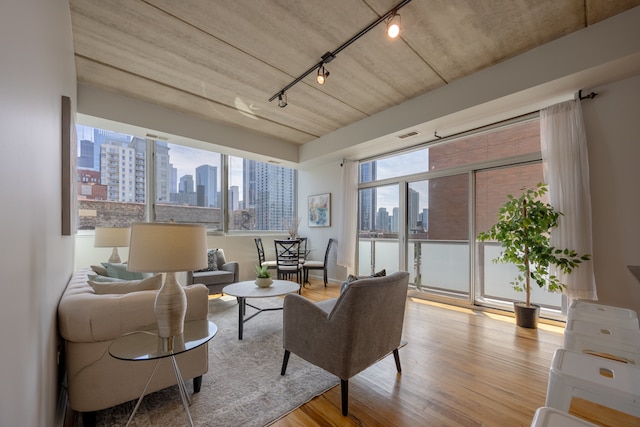 living room featuring light wood-type flooring and rail lighting