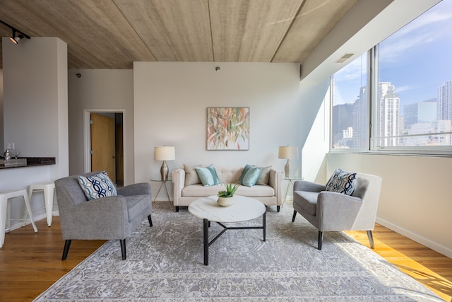 living room featuring hardwood / wood-style flooring