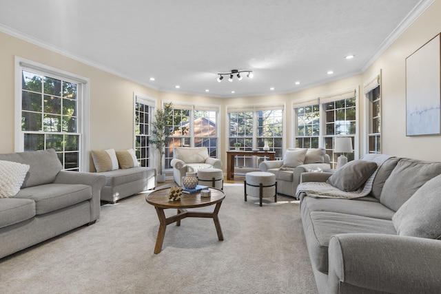 living room featuring ornamental molding, light carpet, and a textured ceiling