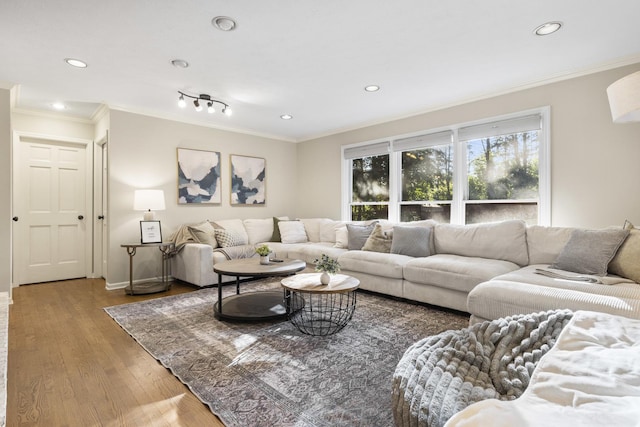 living room featuring ornamental molding and hardwood / wood-style floors