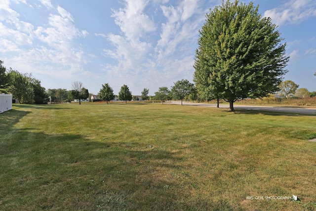 1214 Jerome Ct E, Antioch, IL 60002 - view of green lawn