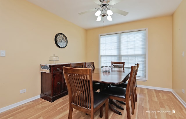 dining room with light hardwood / wood-style floors and ceiling fan