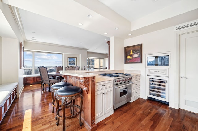 kitchen with designer range, a healthy amount of sunlight, a breakfast bar area, and kitchen peninsula