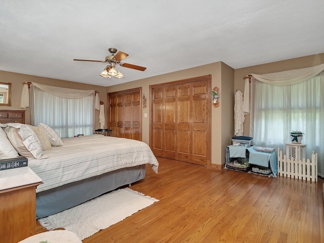 bedroom featuring multiple windows, two closets, ceiling fan, and light hardwood / wood-style floors