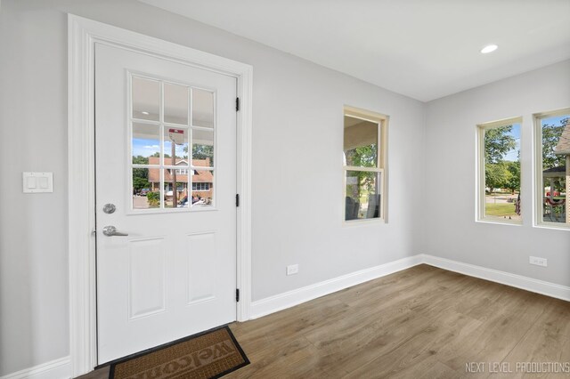 doorway to outside with a wealth of natural light and wood-type flooring