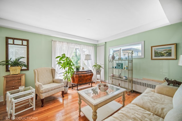 living room with light hardwood / wood-style flooring and radiator