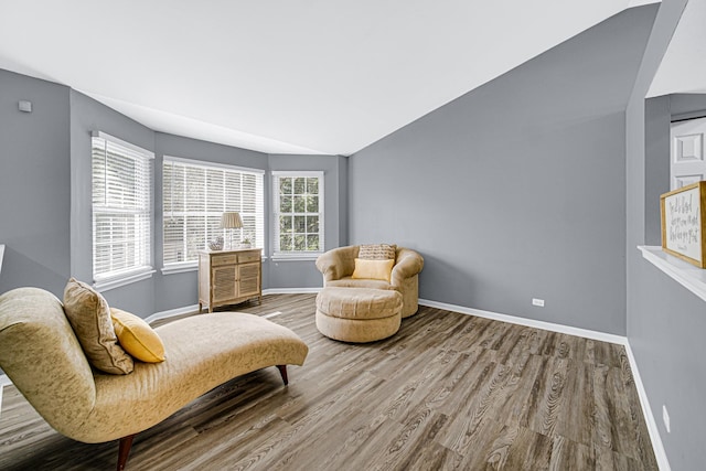 306 Hidden Creek Ln, North Aurora, IL 60542 - living area with lofted ceiling and hardwood / wood-style flooring