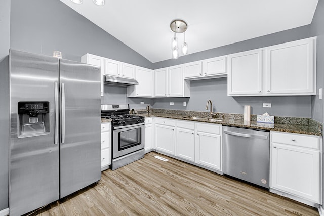 306 Hidden Creek Ln, North Aurora, IL 60542 - kitchen with sink, light hardwood / wood-style floors, lofted ceiling, and stainless steel appliances