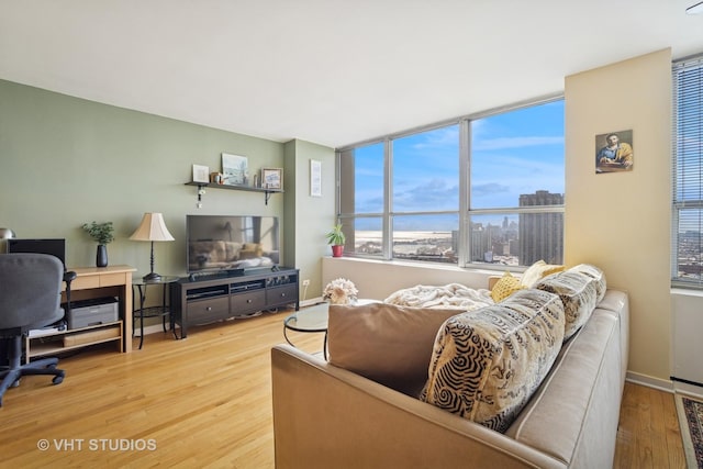 living area featuring baseboards and wood finished floors