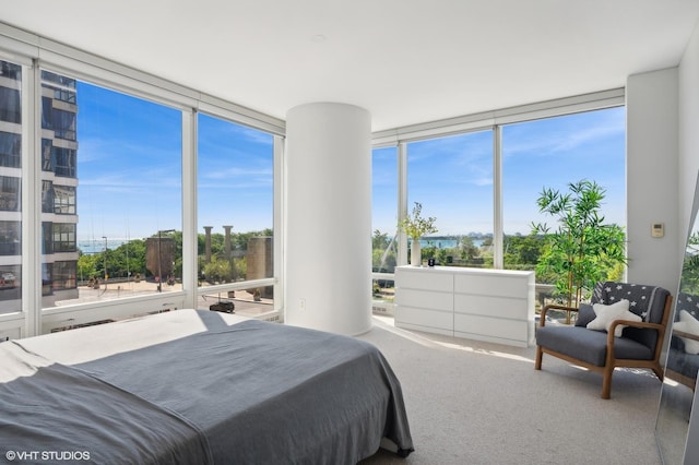 carpeted bedroom with a wall of windows