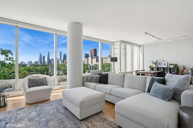 living area featuring plenty of natural light, wood finished floors, and a city view