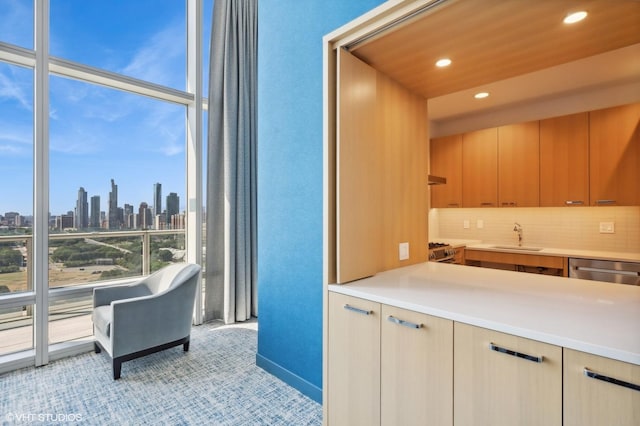 kitchen featuring recessed lighting, a sink, appliances with stainless steel finishes, decorative backsplash, and a view of city