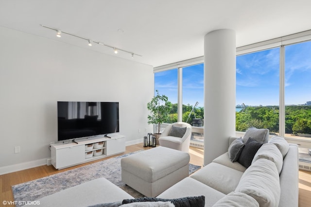 living room featuring plenty of natural light, wood finished floors, rail lighting, and baseboards