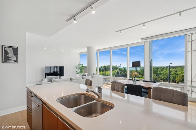 kitchen featuring light countertops, stainless steel dishwasher, a sink, and track lighting