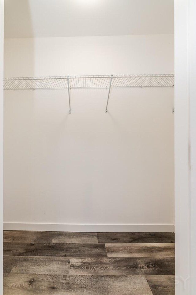 walk in closet with hardwood / wood-style flooring