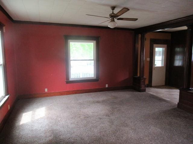 empty room featuring carpet, crown molding, and ceiling fan