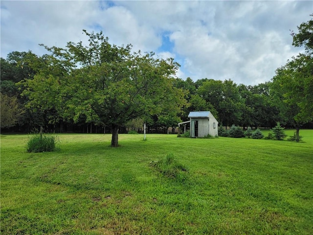 view of yard with a storage shed