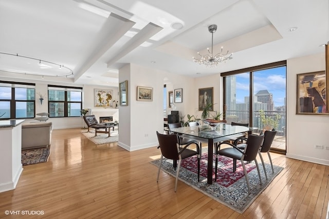 dining room with a raised ceiling, light hardwood / wood-style flooring, and a healthy amount of sunlight