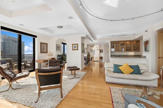 living room with light wood-type flooring, a raised ceiling, and rail lighting