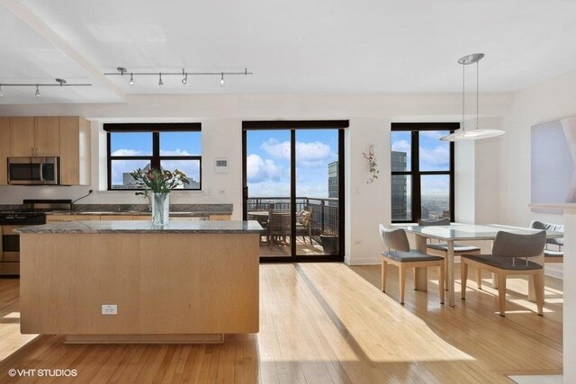 kitchen featuring light wood-type flooring, stainless steel appliances, plenty of natural light, and track lighting