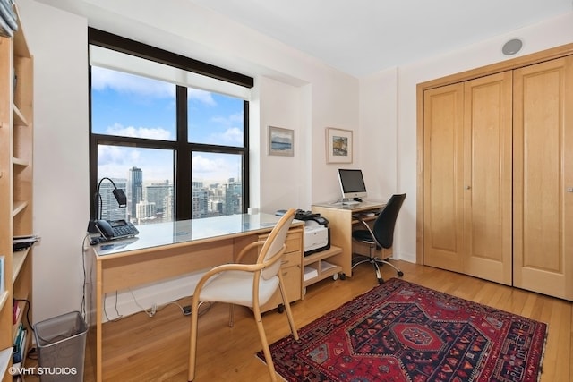 office featuring light hardwood / wood-style flooring