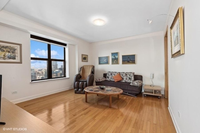 living room featuring light hardwood / wood-style floors