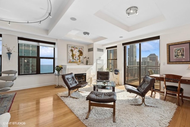 living room featuring a raised ceiling, track lighting, and light hardwood / wood-style floors