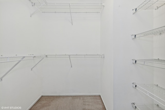 walk in closet with light colored carpet