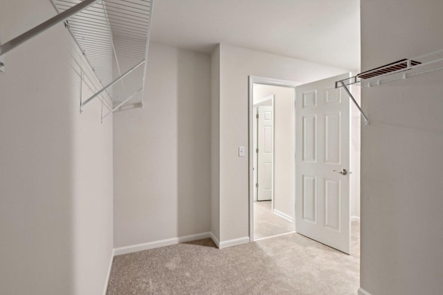 spacious closet with light carpet