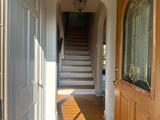 entryway featuring wood-type flooring