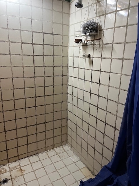 bathroom with a shower with shower curtain