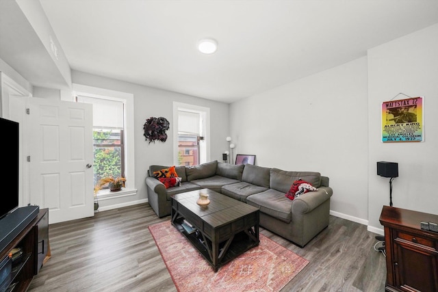 living room featuring wood-type flooring