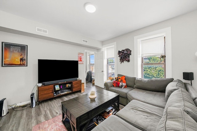 living room with wood-type flooring