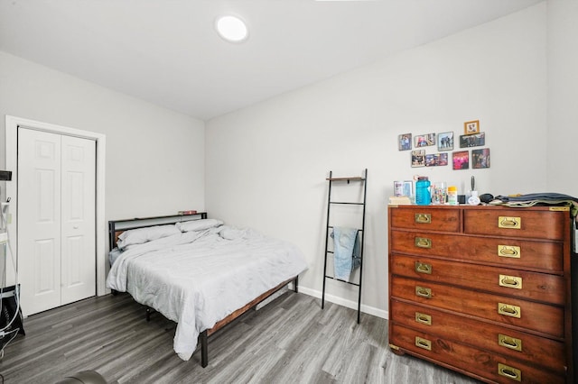 bedroom with wood-type flooring and a closet