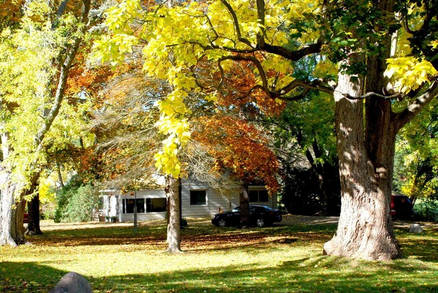 surrounding community featuring a lawn