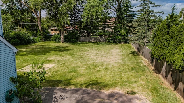 view of yard featuring a fenced backyard