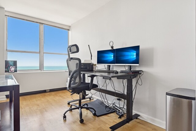 office area featuring light hardwood / wood-style floors