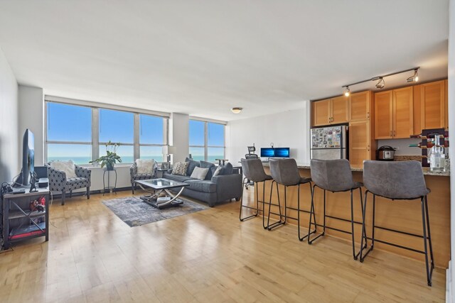 living room with light hardwood / wood-style flooring and track lighting