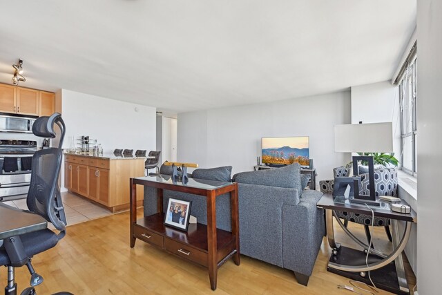 living room with light wood-type flooring