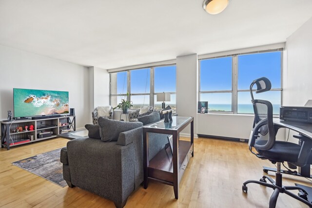 living room featuring a water view and light wood-type flooring