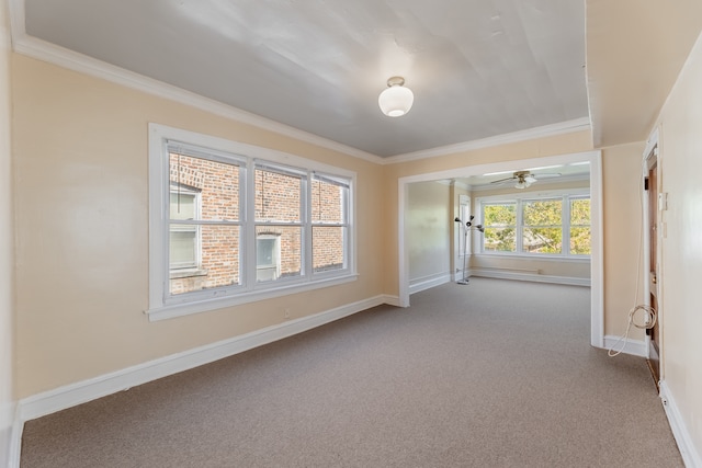 spare room with crown molding, ceiling fan, and carpet floors