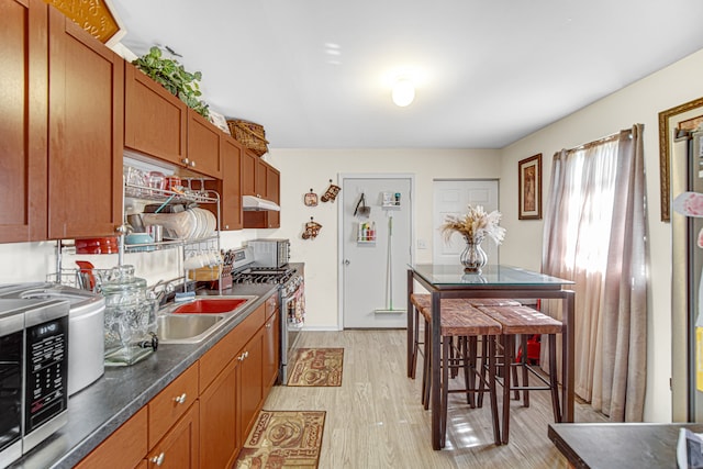 kitchen featuring light hardwood / wood-style flooring, sink, and stainless steel appliances