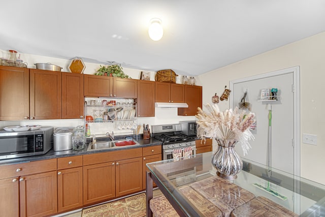 kitchen featuring appliances with stainless steel finishes and sink