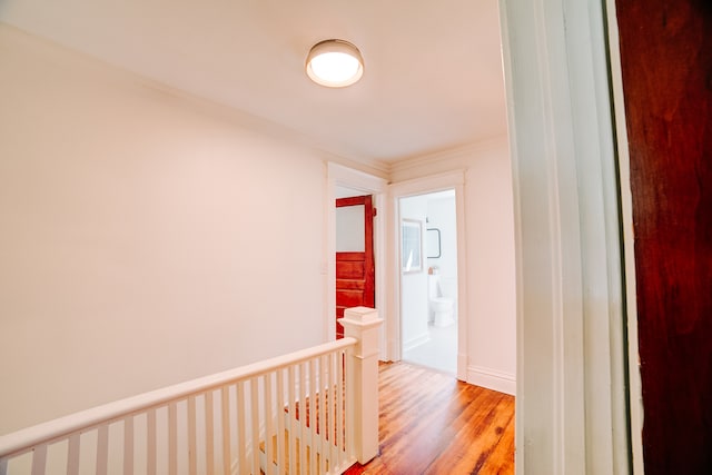 corridor featuring hardwood / wood-style floors and ornamental molding