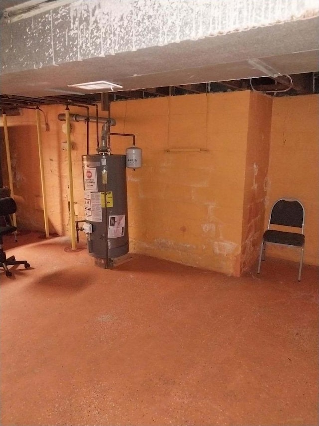 basement featuring water heater