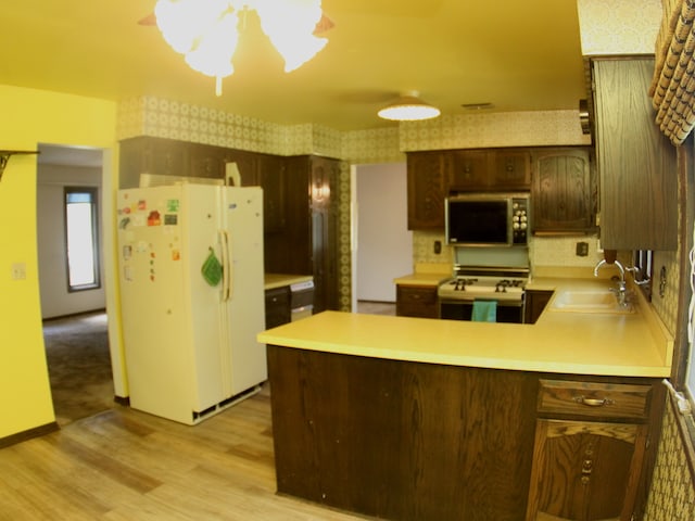 kitchen with light hardwood / wood-style flooring, dark brown cabinetry, white refrigerator, range, and sink