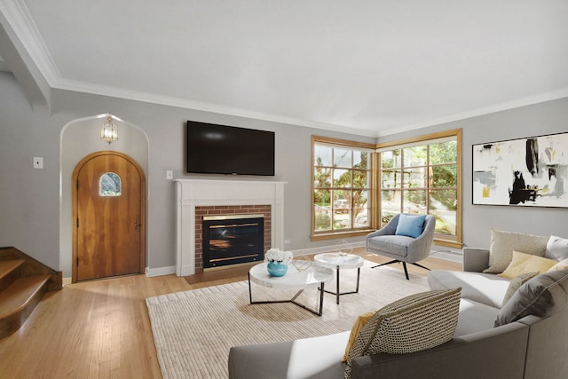 living room with a fireplace, light hardwood / wood-style floors, and crown molding