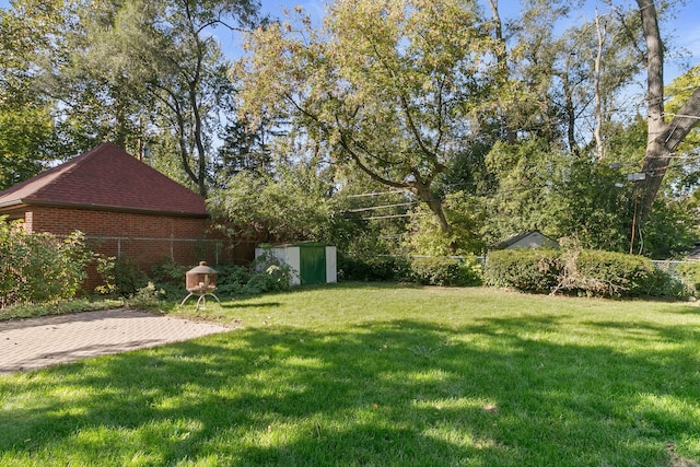 view of yard featuring a patio area