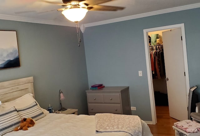 bedroom with a walk in closet, ornamental molding, hardwood / wood-style flooring, a closet, and ceiling fan