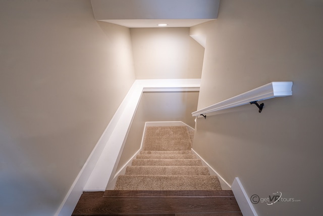 staircase featuring carpet flooring